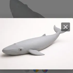 Blue whale