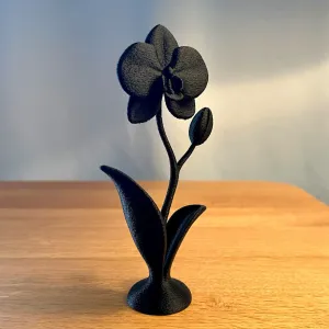 Orchid Flower Decor