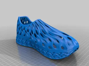 Mesh shoe