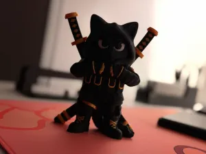 Ninja Cat