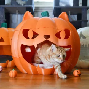 Giant Pumpkin Pet Bed Jack o lantern