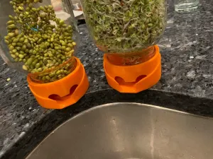 sprout jar drain