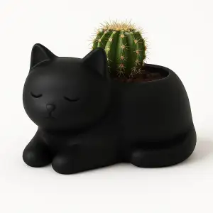 Kitty Cactus pot - Gatito maceta