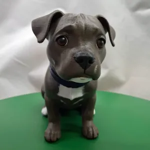 Truus - Engelse Stafford / Englisch Staffordshire terrier
