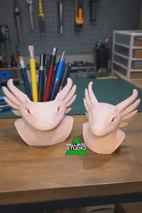 Cute Axolotl Pencil holder and bust 2 model bonus pack