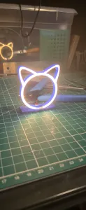 Illuminated Cat Head