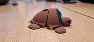 Kiwi Turtle – Articulated flexi Companion