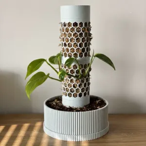 ClimbMate – Modular Moss Pole Planter with Self-Watering