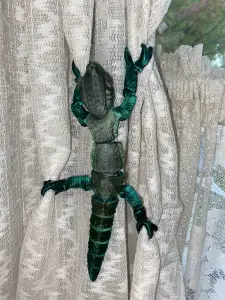Parson's Chameleon