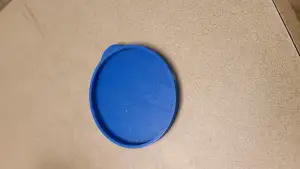 Can Lid