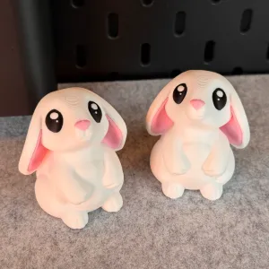 Cute Bunny