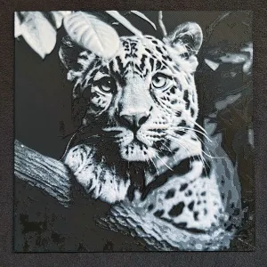 Jaguar II.