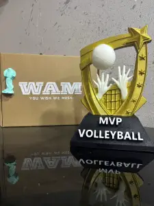 volley trophy