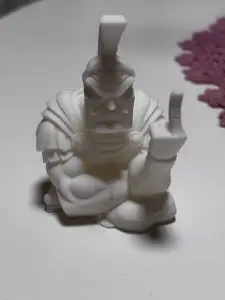 Rude warrior