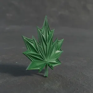 3D Printed Maple Leaf Emblem