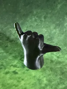 Hang loose hand