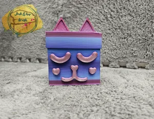 Cat gift box, multicolour gabby dolls house box, snap fit su