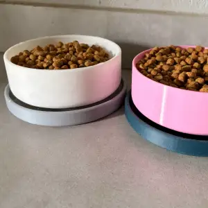Ant Free Cat Food Bowl
