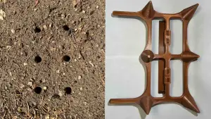 Semi Modular Seed Spacer