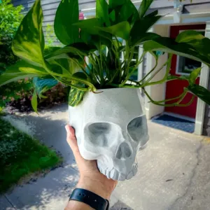 2 Hanging Skull Planter NO SUPPORT