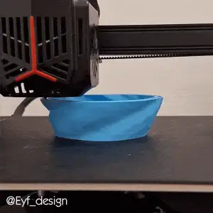 Whirlpool Bowl