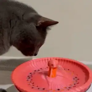 Dynamic Water. For Cats & Dogs. Only on Creality Cloud.