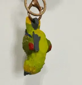 Amazon Parrot Keychain