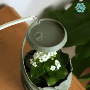 Rain Planter "CloudDrop" | Plant Pot STL to 3D print
