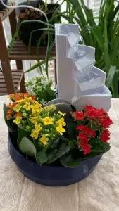 Pond Plant Pot (Self-Watering)