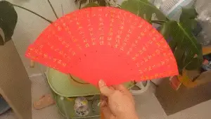 Fan/洛神赋(a thousand year old love legend sung in the East)
