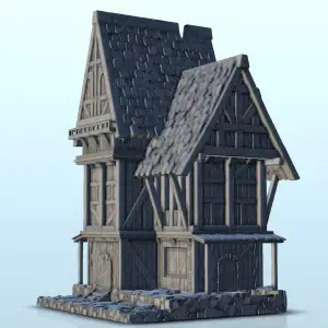 Large multi-storey medieval house with terraces and canopy (