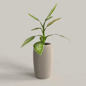 CURVED VASE, VASE COURBER