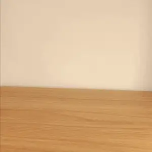 ORGANIZADOR
