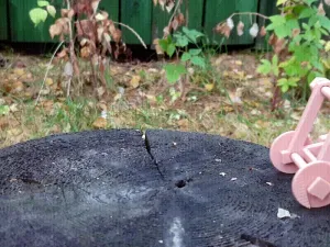 Catapult