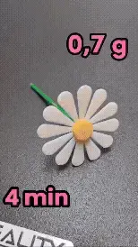Tiny Flower