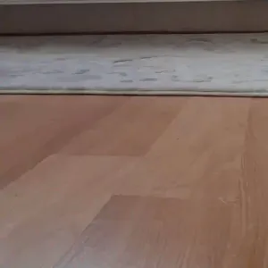 ROBOT DOG (motorized)