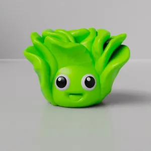 Cabbage