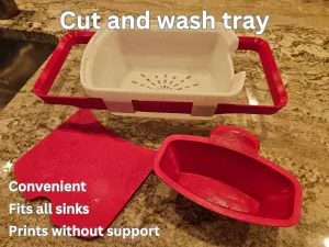 WASH AND CUT TRAY