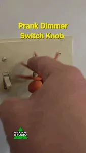 Spider Dimmer Knob switch
