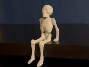 Sitting skeleton- articulated