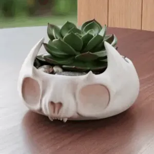 Cute skull pot plate