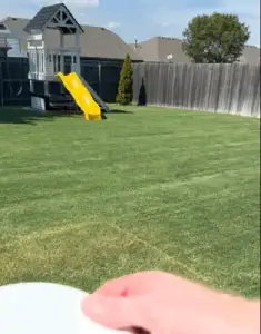 Frisbee