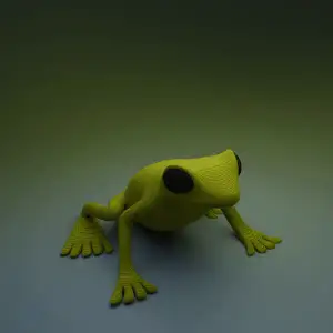 Red eye Frog