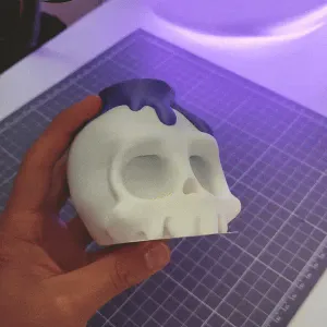 Skull