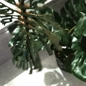 Flexy Dragon Leaf Print in place Supportless