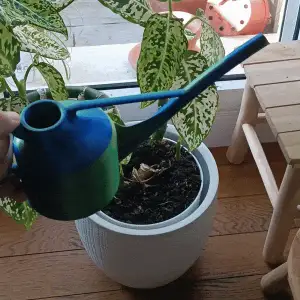 Pretty watering can with removable rain spout