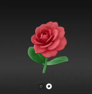Camelia flower