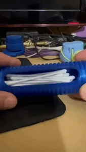 Q Tip carrying travel case