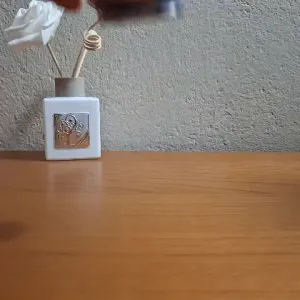 Flexi Shark 🦈🌊
