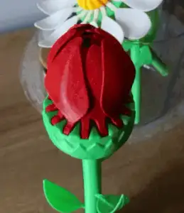 Blooming Flower